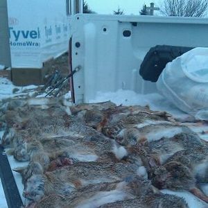 Meet your Posher, Deven